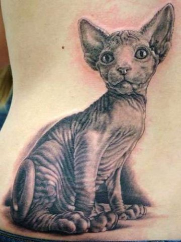 Фото, значение в магии татуировки " Кот. Кошка. Котенок. " X_565a3e1c